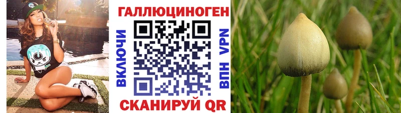Купить  Махачкала  Галлюциногенные грибы Magic Shrooms 