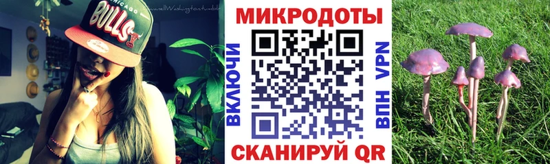 Галлюциногенные грибы MAGIC MUSHROOMS Махачкала