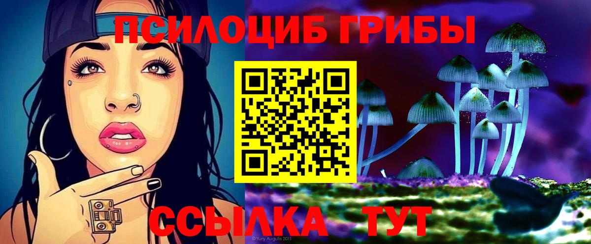 Махачкала  Галлюциногенные грибы GOLDEN TEACHER  Вход с VPN 