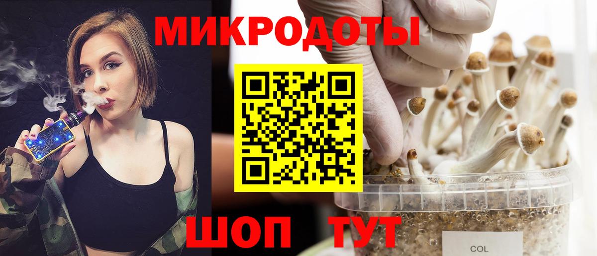 Псилоцибиновые грибы мухоморы Махачкала