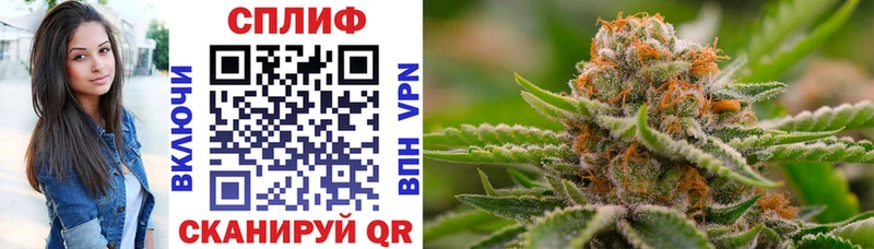 Бошки Шишки Amnesia  Купить закладки  Махачкала 